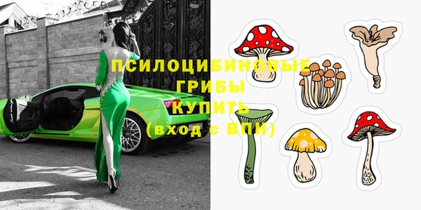 прущий лед Богородицк